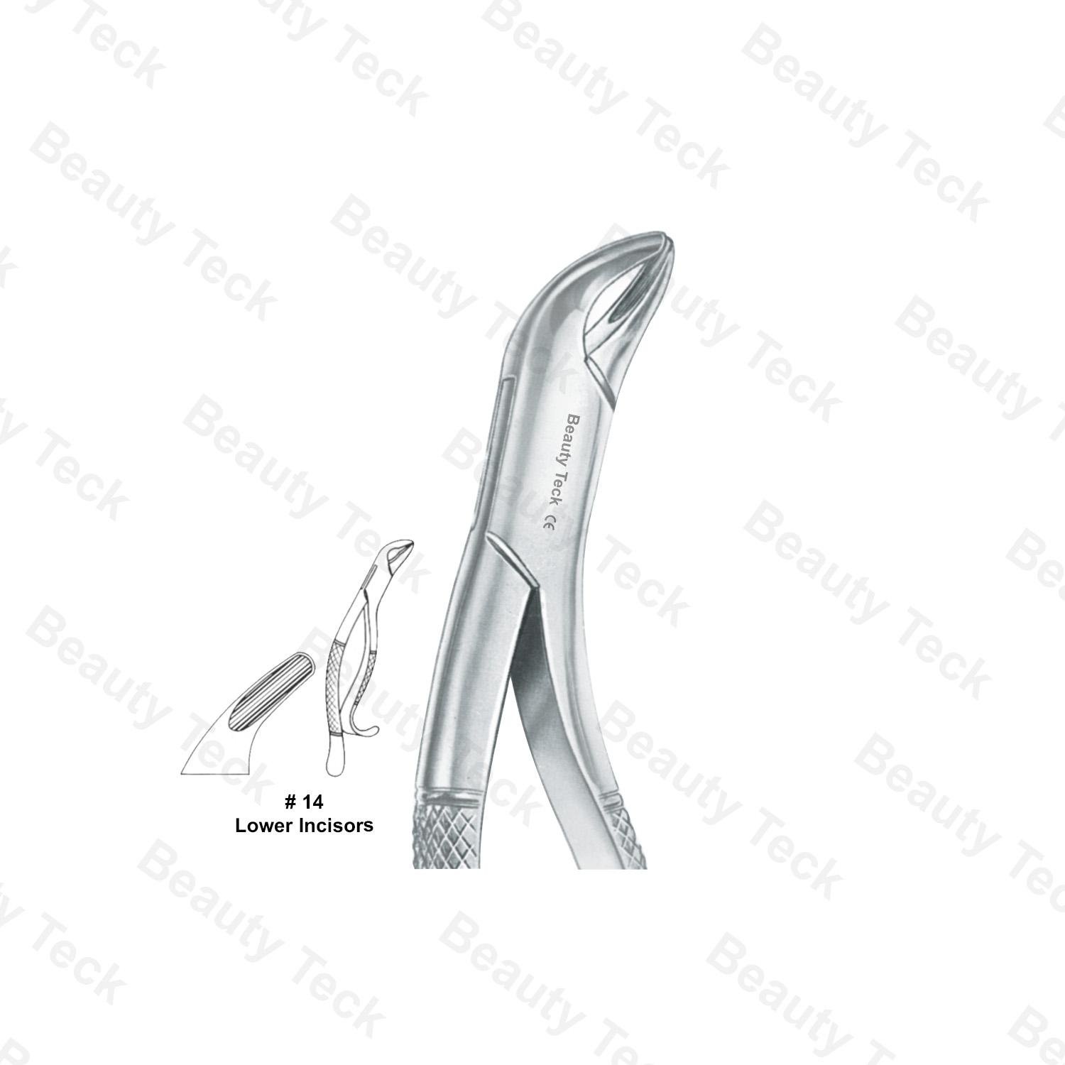 EXTRACTING FORCEPS AMERICAN PATTERN (LOWER INCISORS)  #14