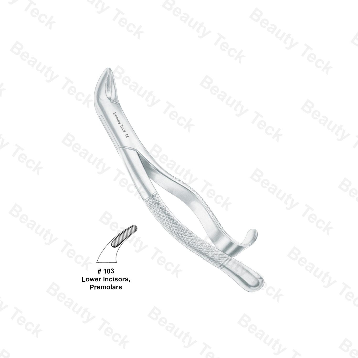 EXTRACTING FORCEPS AMERICAN PATTERN (LOWER INCISORS, PREMOLARS) #103 