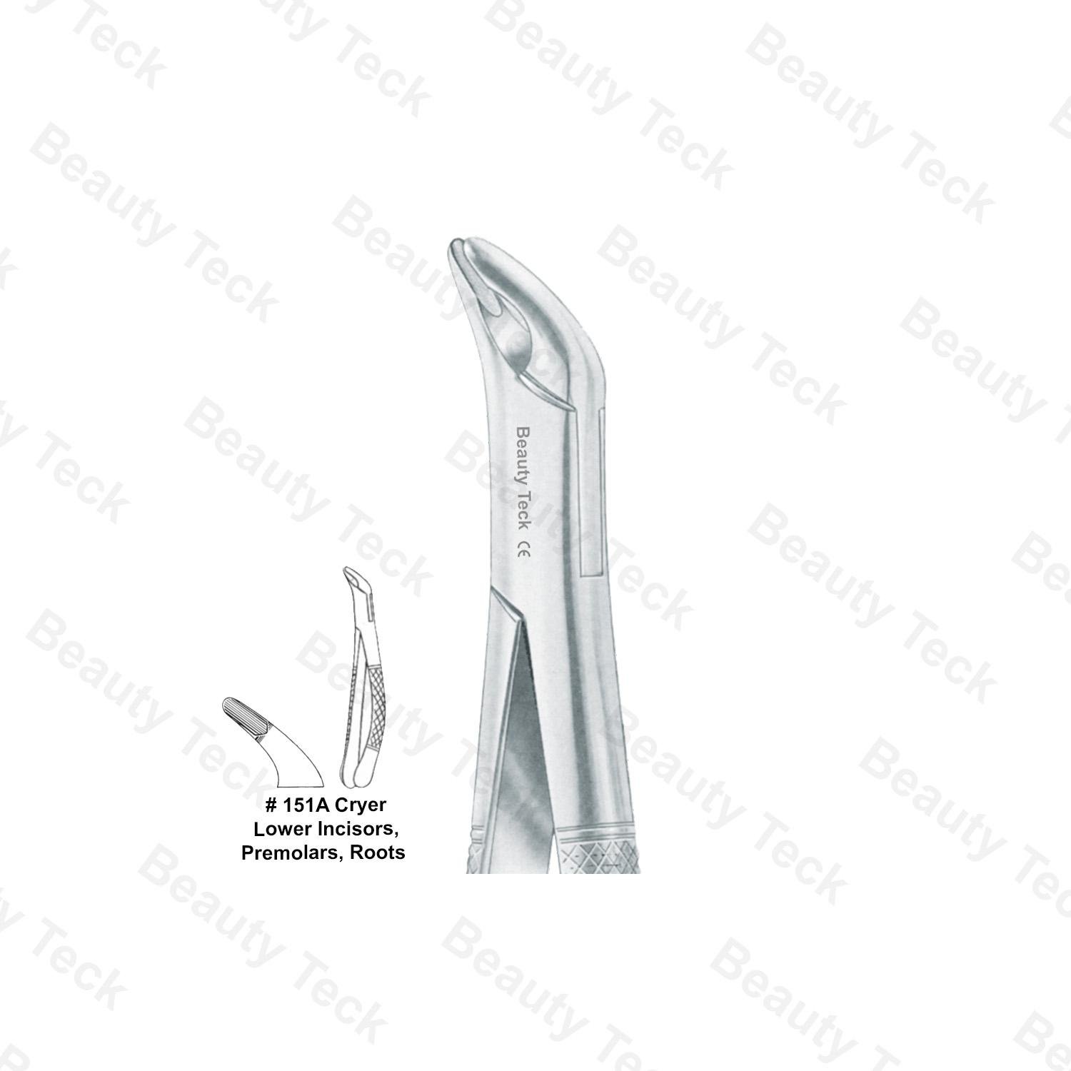 EXTRACTING FORCEPS AMERICAN PATTERN (LOWER INCISORS, PREMOLARS, ROOTS)  #151A CRYER