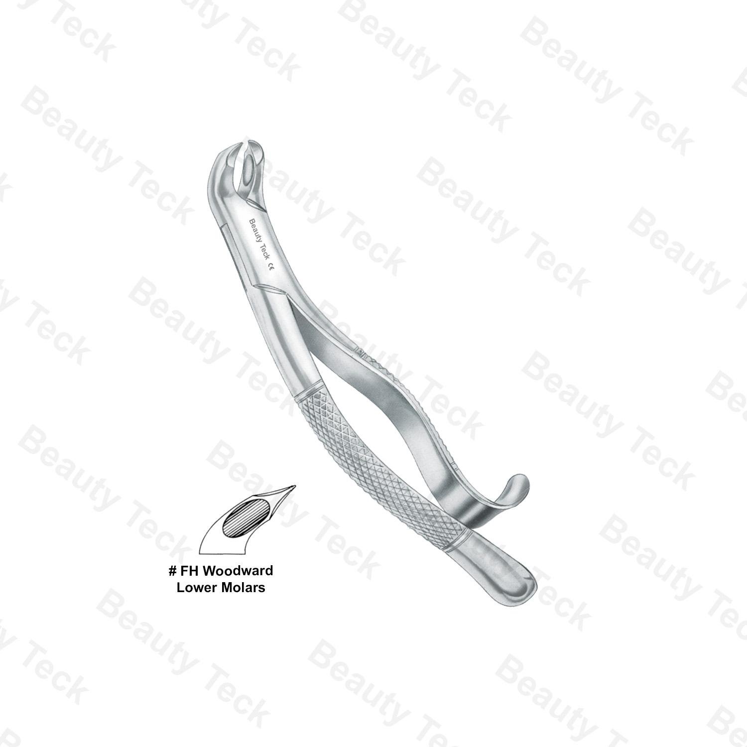 EXTRACTING FORCEPS AMERICAN PATTERN (LOWER MOLARS)   #FH WOODWARD