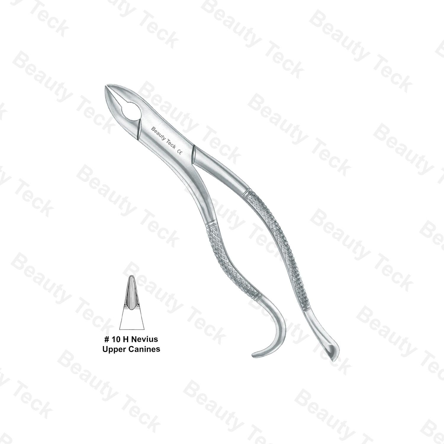 EXTRACTING FORCEPS AMERICAN PATTERN (UPPER CANINES)  #10 H NEVIUS