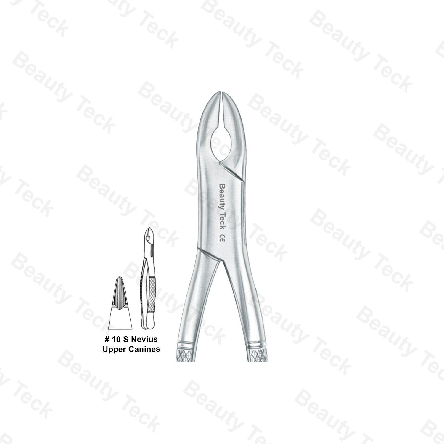 EXTRACTING FORCEPS AMERICAN PATTERN (UPPER CANINES)  #10 S NEVIUS