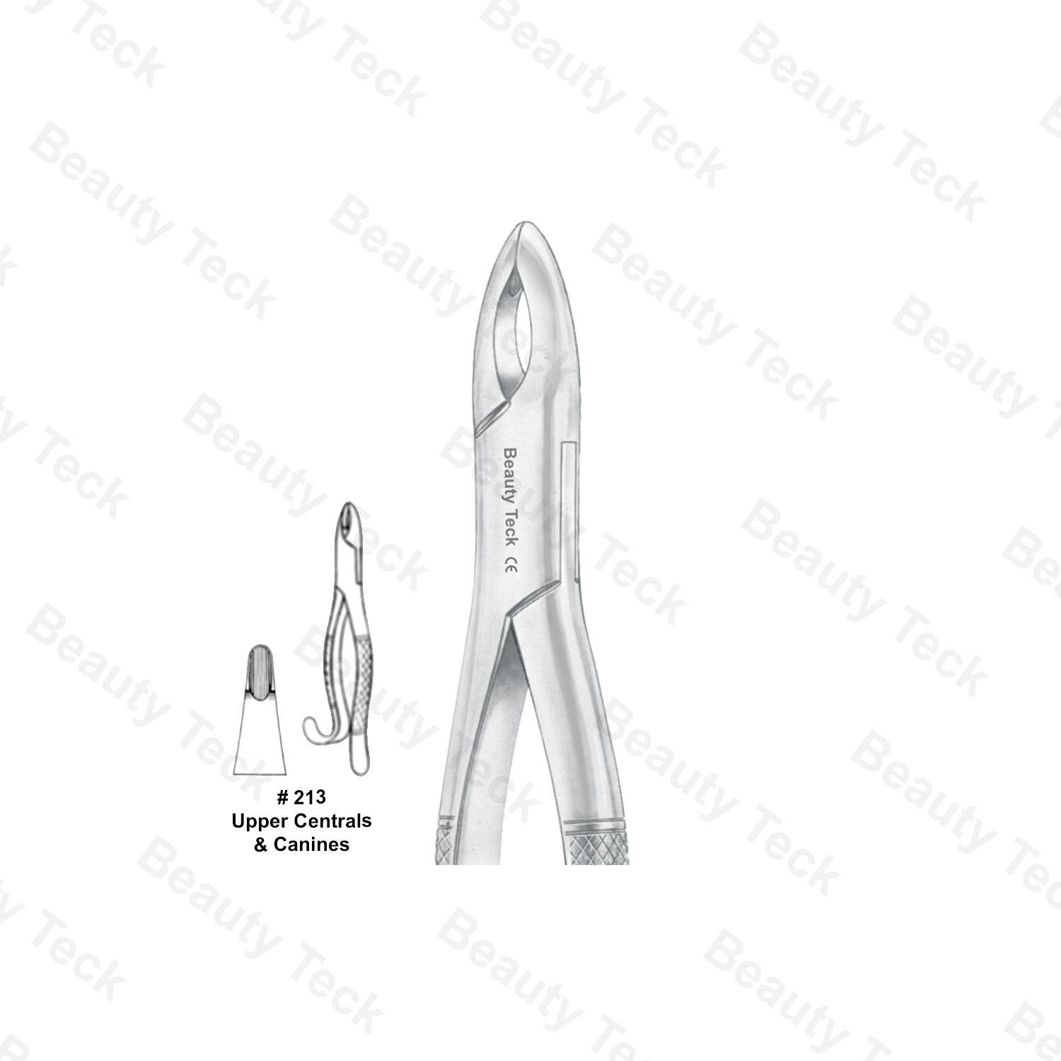 EXTRACTING FORCEPS AMERICAN PATTERN (UPPER CENTRALS & CANINES) #213
