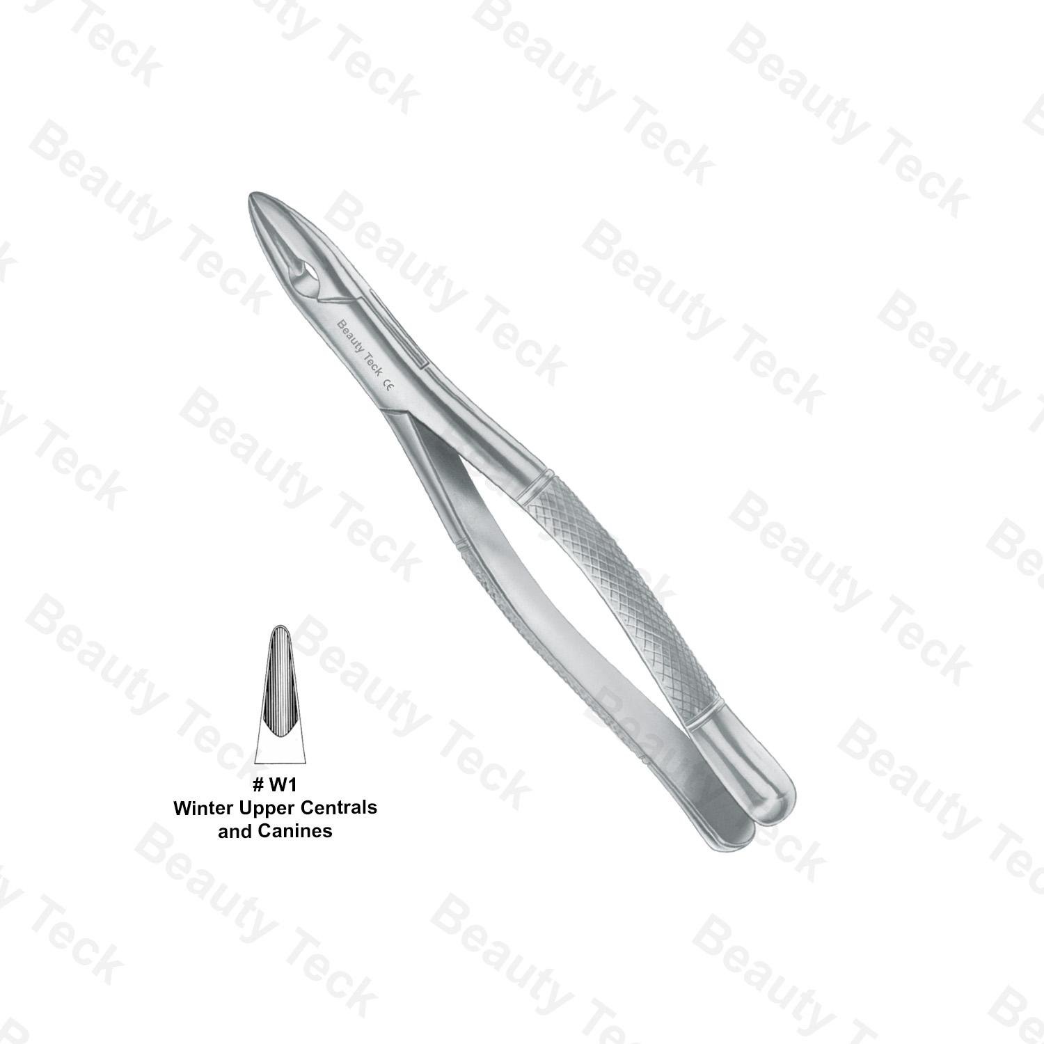 EXTRACTING FORCEPS AMERICAN PATTERN (UPPER CENTRALS & CANINES)  #W1