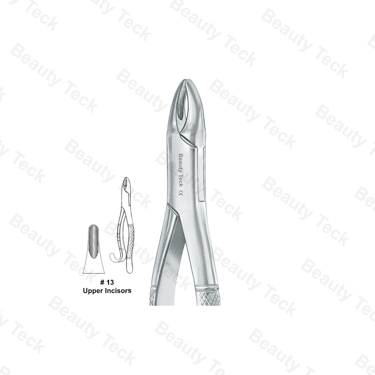 EXTRACTING FORCEPS AMERICAN PATTERN (UPPER INCISORS)  #13