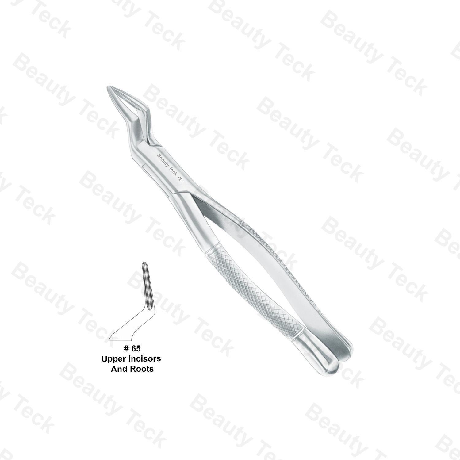 EXTRACTING FORCEPS AMERICAN PATTERN (UPPER INCISORS & ROOTS)  #65