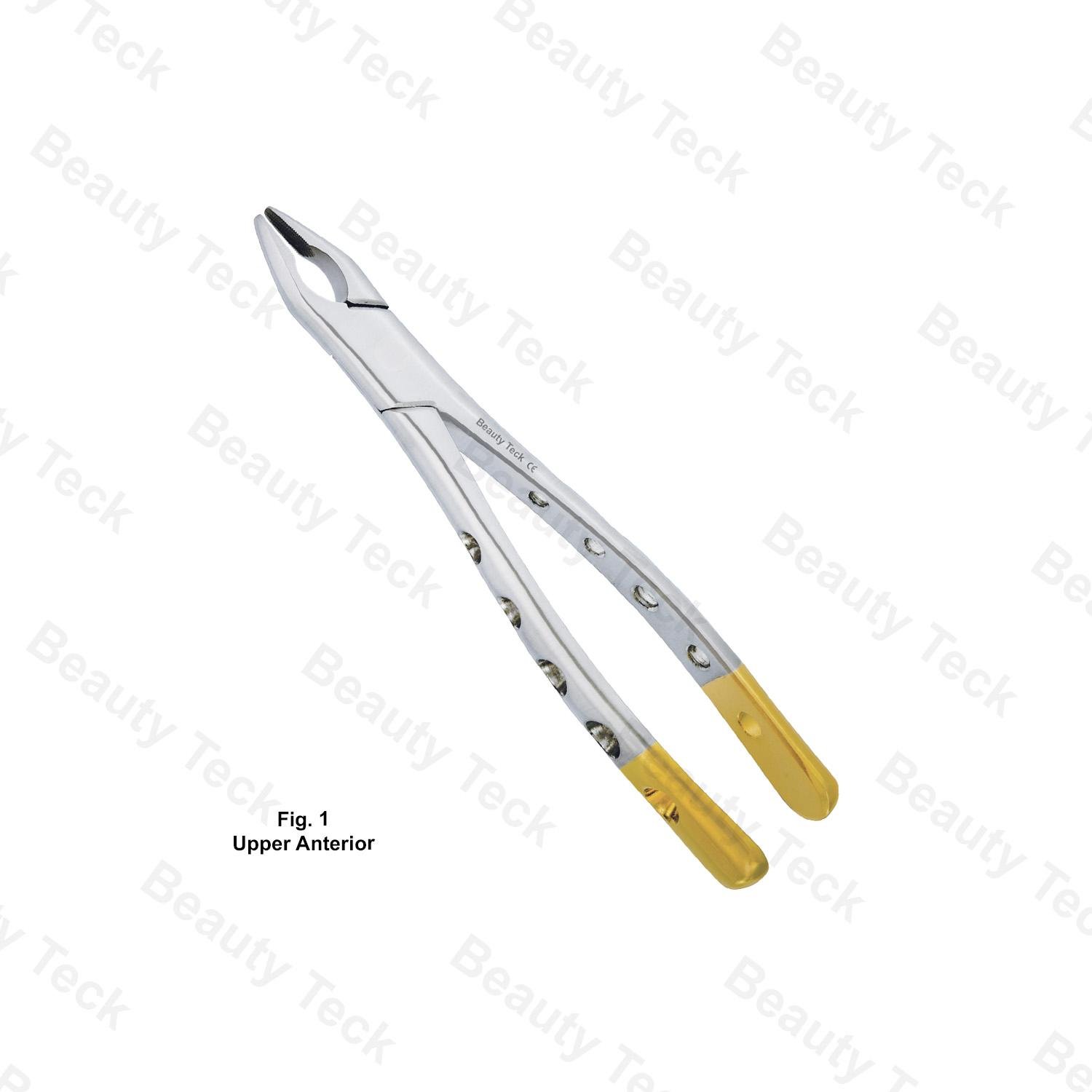 EXTRACTING FORCEPS AMERICAN PATTERN HOLE HANDLE #FIG.1 (UPPER ANTERIOR)