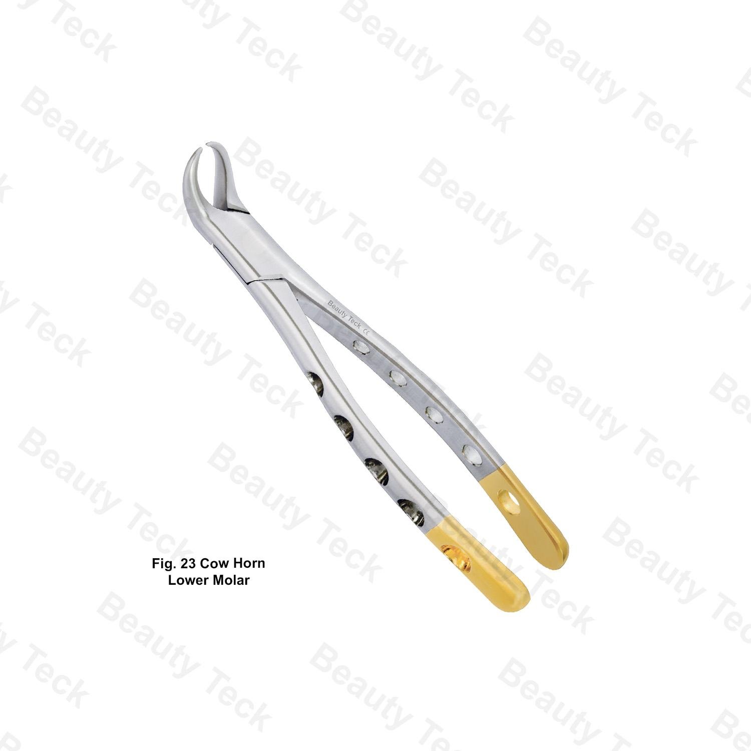 EXTRACTING FORCEPS AMERICAN PATTERN HOLE HANDLE #FIG.23 COW HORN (LOWER MOLAR)