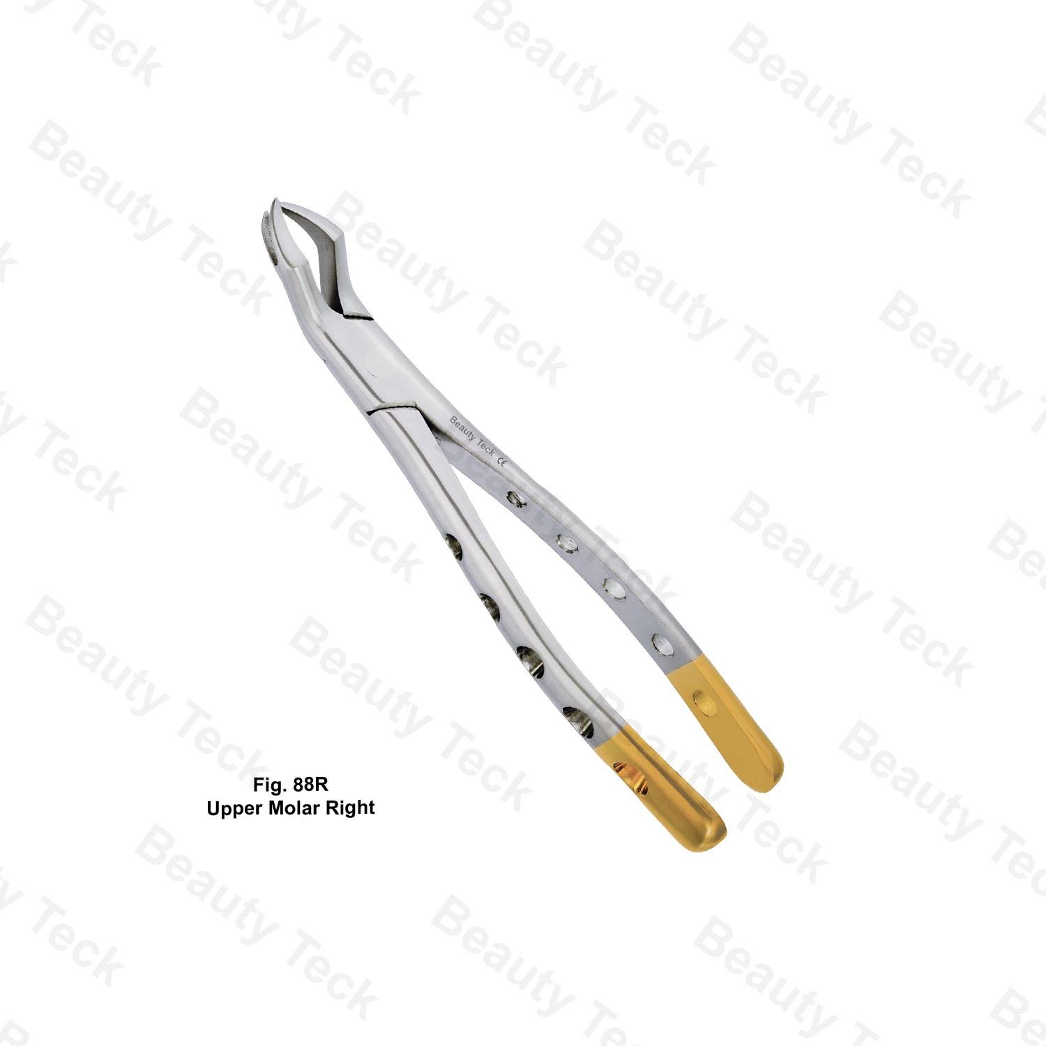 EXTRACTING FORCEPS AMERICAN PATTERN HOLE HANDLE #FIG.88R (UPPER MOLAR RIGHT)