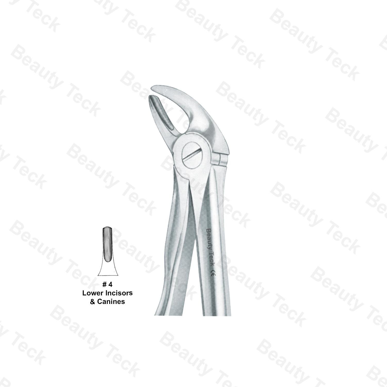 EXTRACTING FORCEPS ANATOMICAL HANDLE (LOWER INCISORS & CANINES) # 4