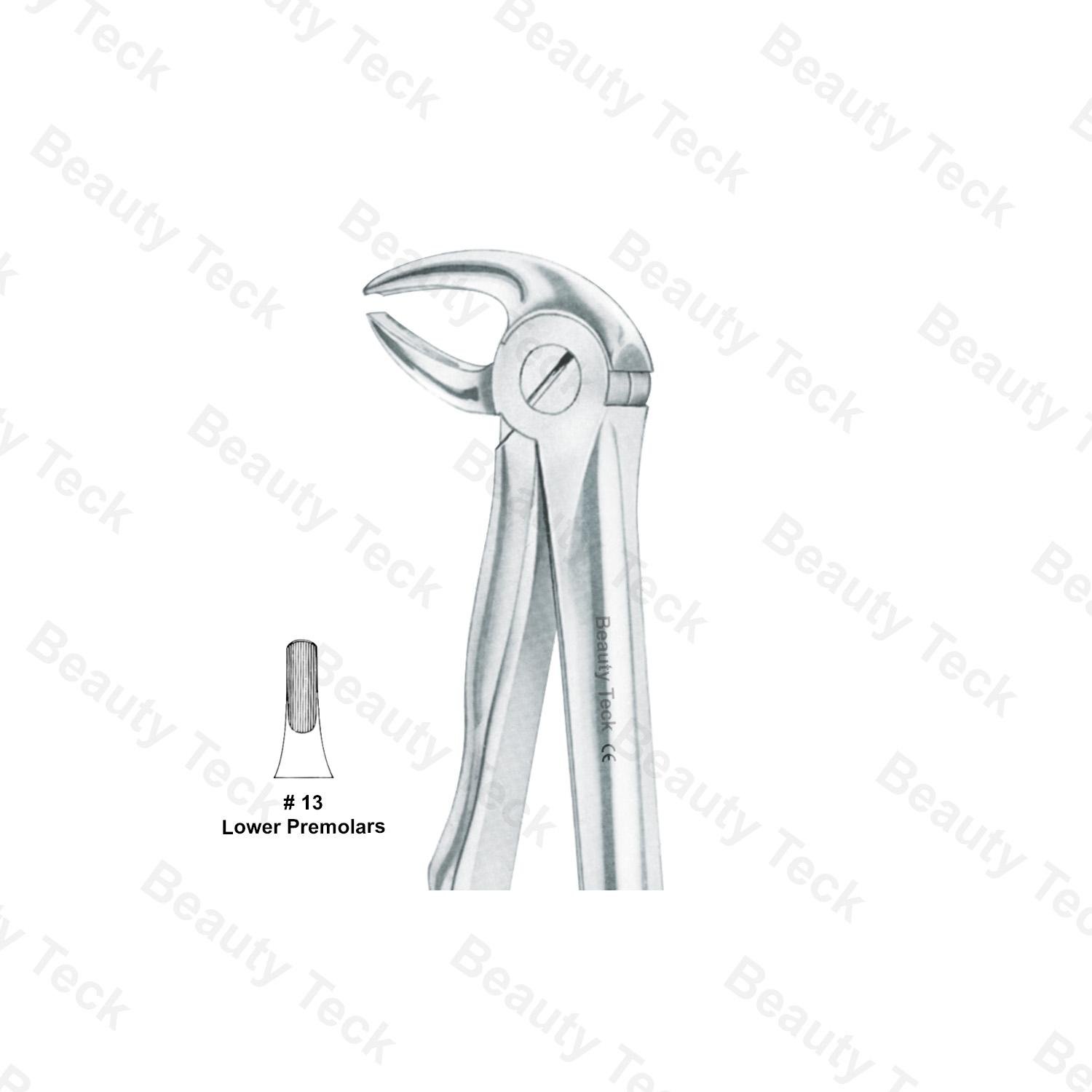 EXTRACTING FORCEPS ANATOMICAL HANDLE (LOWER PREMOLARS) #13