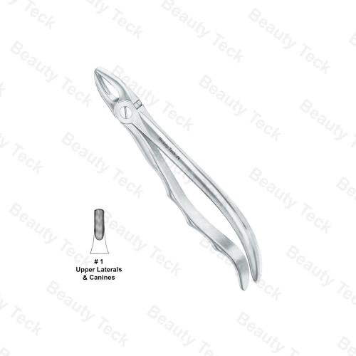 EXTRACTING FORCEPS ANATOMICAL HANDLE (UPPER LATERALS & CANINES) #1