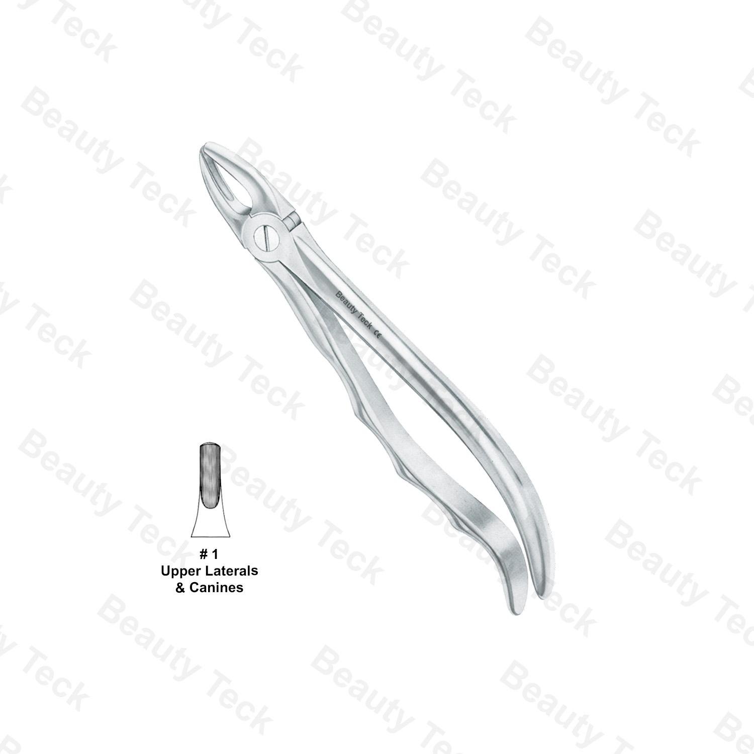 EXTRACTING FORCEPS ANATOMICAL HANDLE (UPPER LATERALS & CANINES) #1