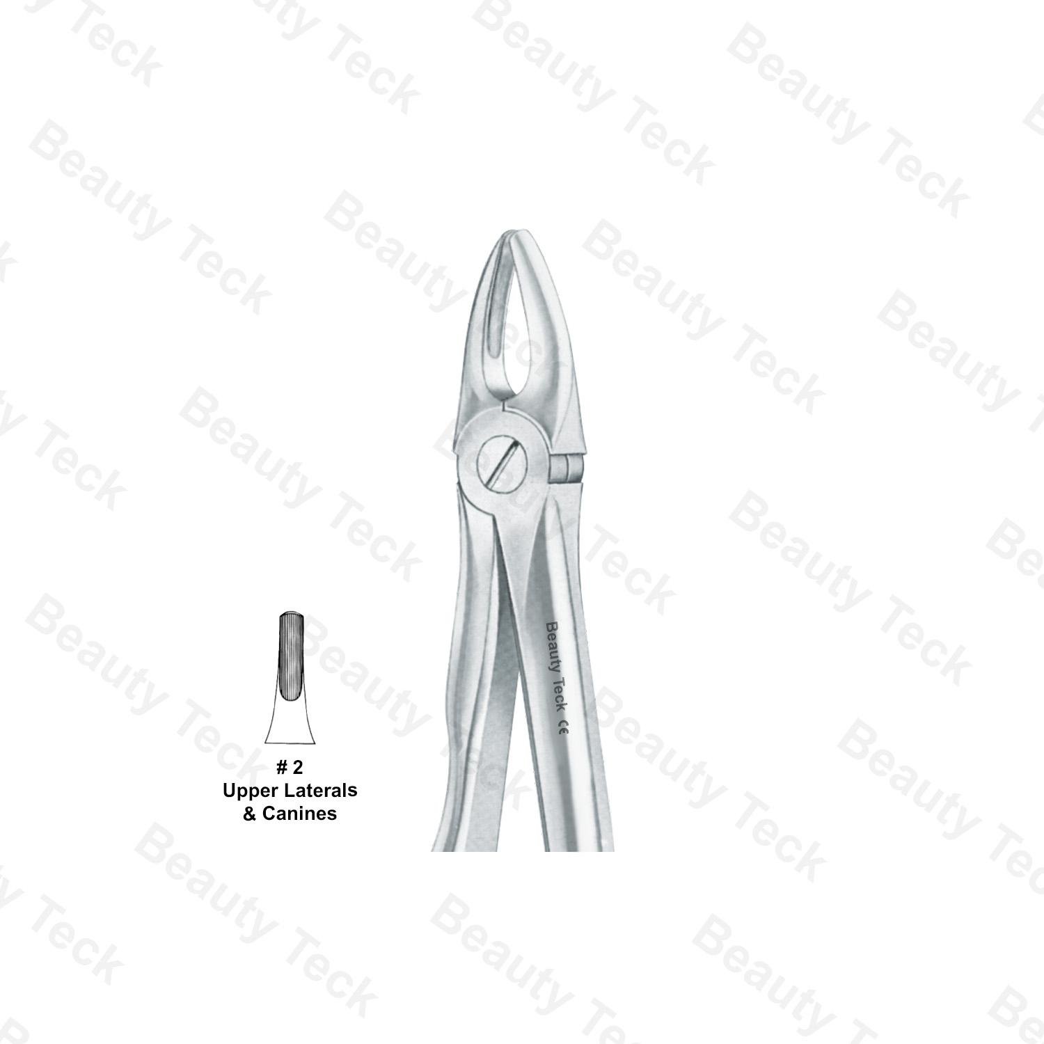 EXTRACTING FORCEPS ANATOMICAL HANDLE (UPPER LATERALS & CANINES) # 2