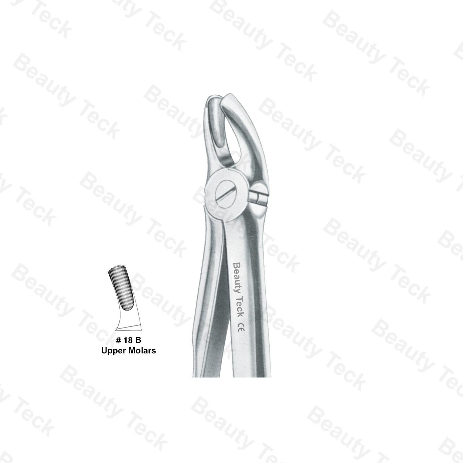 EXTRACTING FORCEPS ANATOMICAL HANDLE (UPPER MOLARS) #18 B
