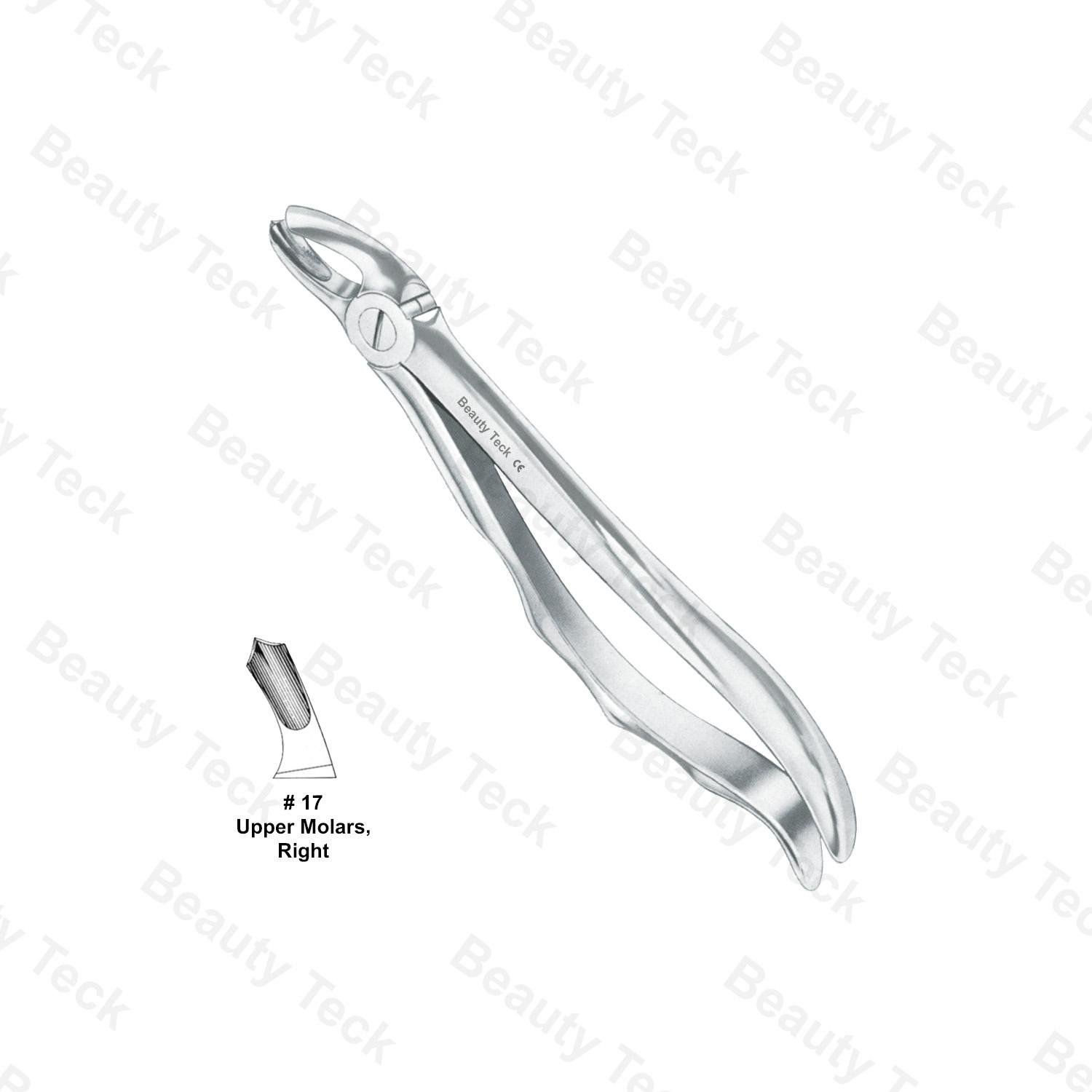 EXTRACTING FORCEPS ANATOMICAL HANDLE (UPPER MOLARS, RIGHT)  #17