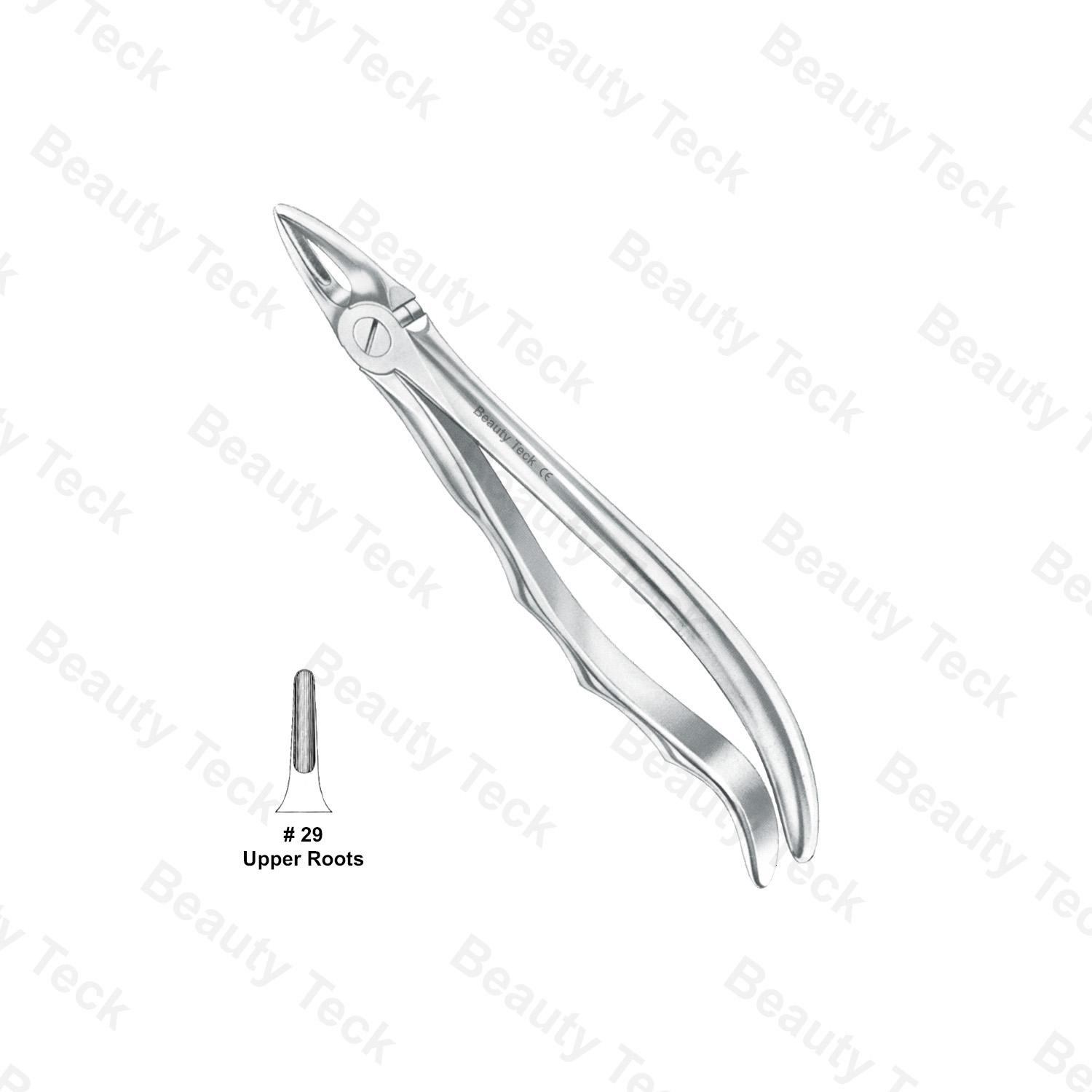 EXTRACTING FORCEPS ANATOMICAL HANDLE  #29 (UPPER ROOTS)