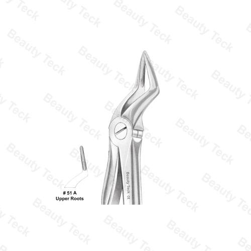 EXTRACTING FORCEPS ANATOMICAL HANDLE  #51 A  (UPPER ROOTS)