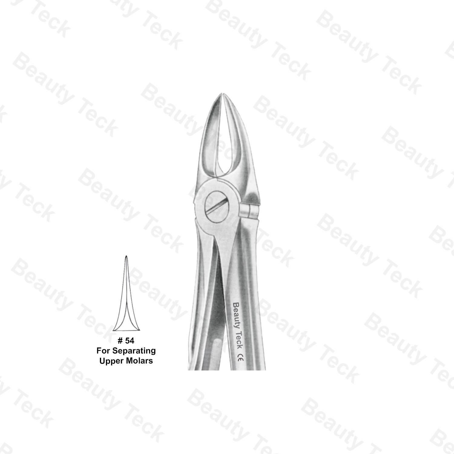 EXTRACTING FORCEPS ANATOMICAL HANDLE   #54 (FOR SEPARATING UPPER MOLARS)
