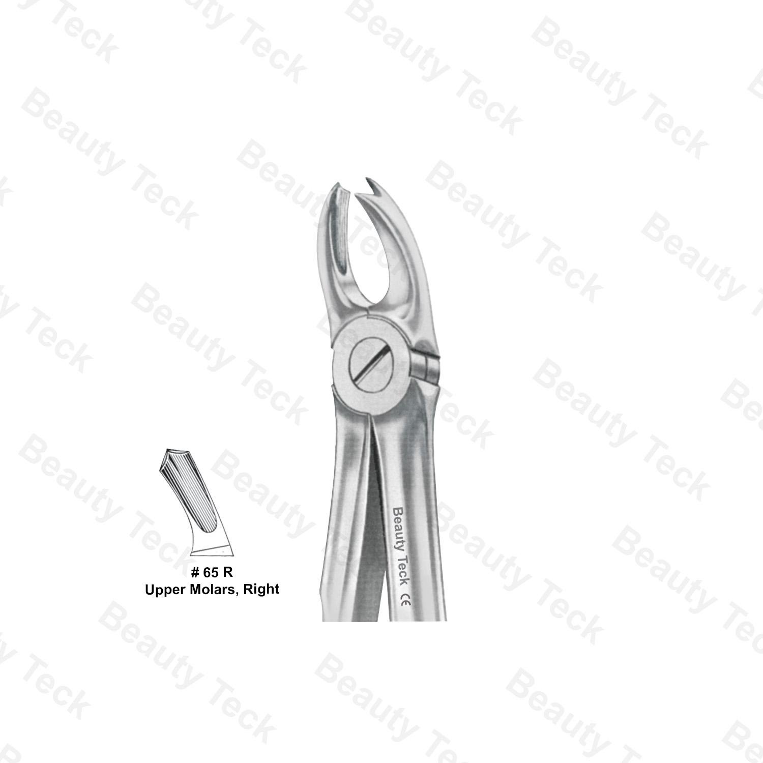 EXTRACTING FORCEPS ANATOMICAL HANDLE  #65 R (UPPER MOLARS, RIGHT)