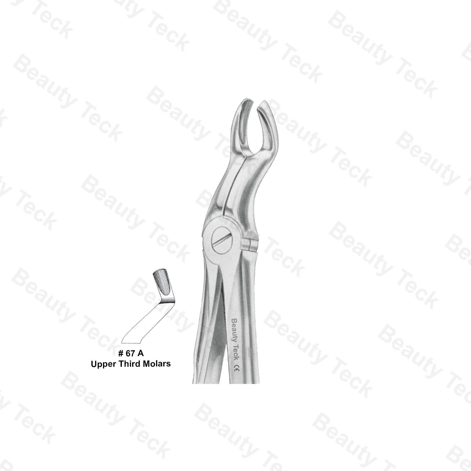 EXTRACTING FORCEPS ANATOMICAL HANDLE #67 A (UPPER THIRD MOLARS)