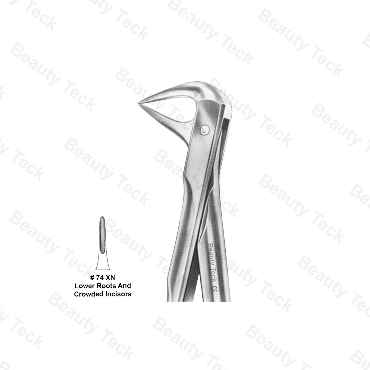 EXTRACTING FORCEPS ANATOMICAL HANDLE  #74 XN (LOWER ROOTS & CROWDED INCISORS)
