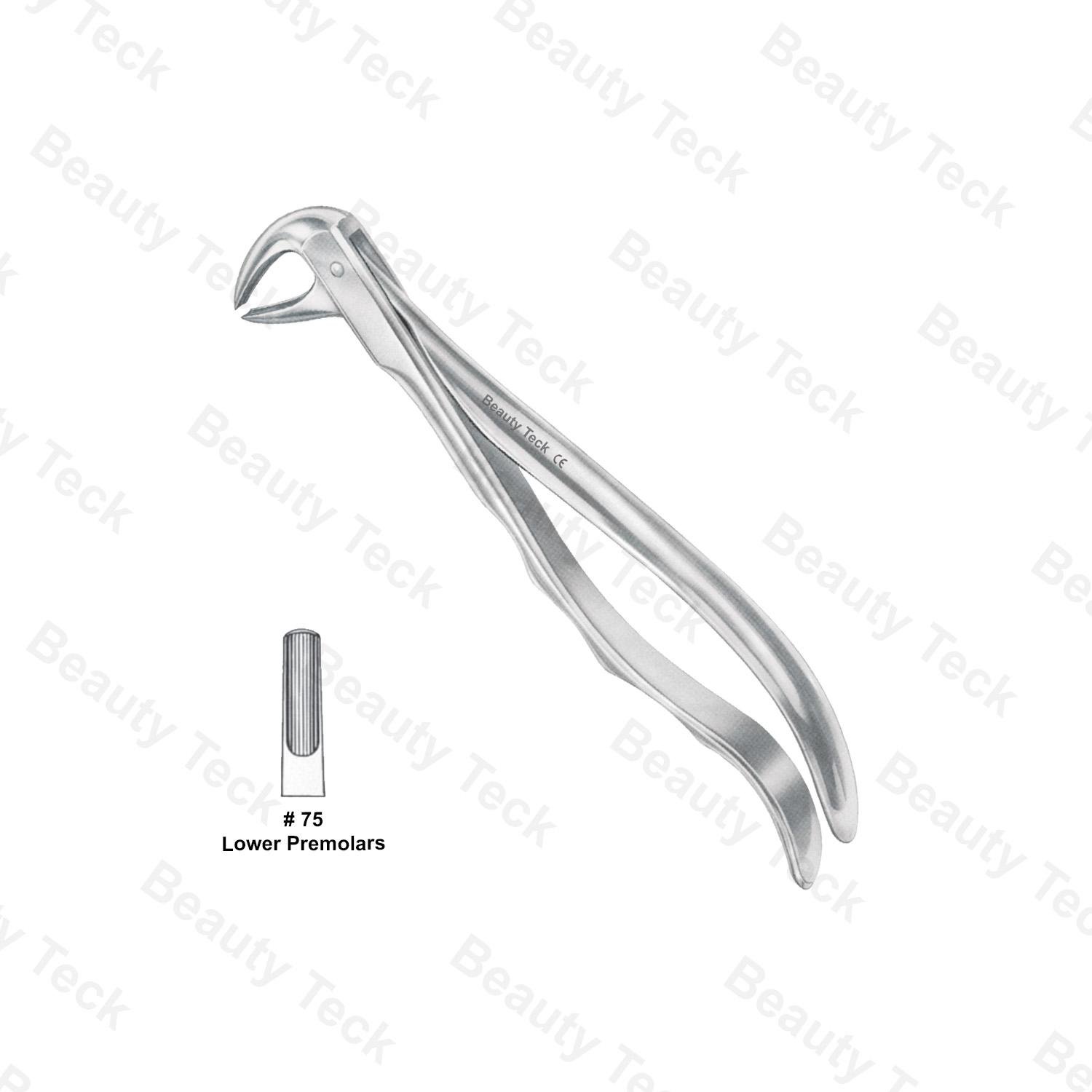 EXTRACTING FORCEPS ANATOMICAL HANDLE  #75 (LOWER PREMOLARS)