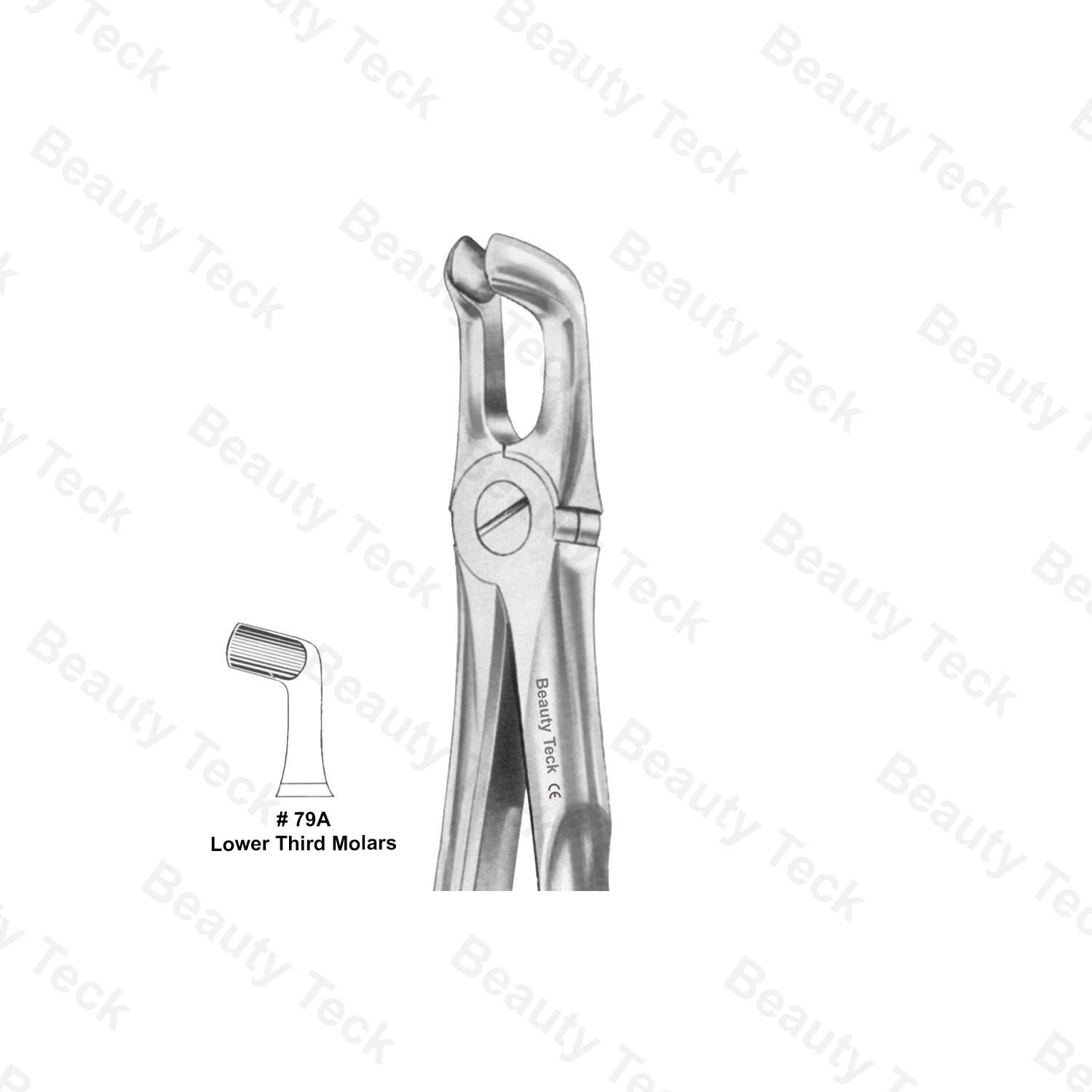 EXTRACTING FORCEPS ANATOMICAL HANDLE #79A (LOWER THIRD MOLARS)