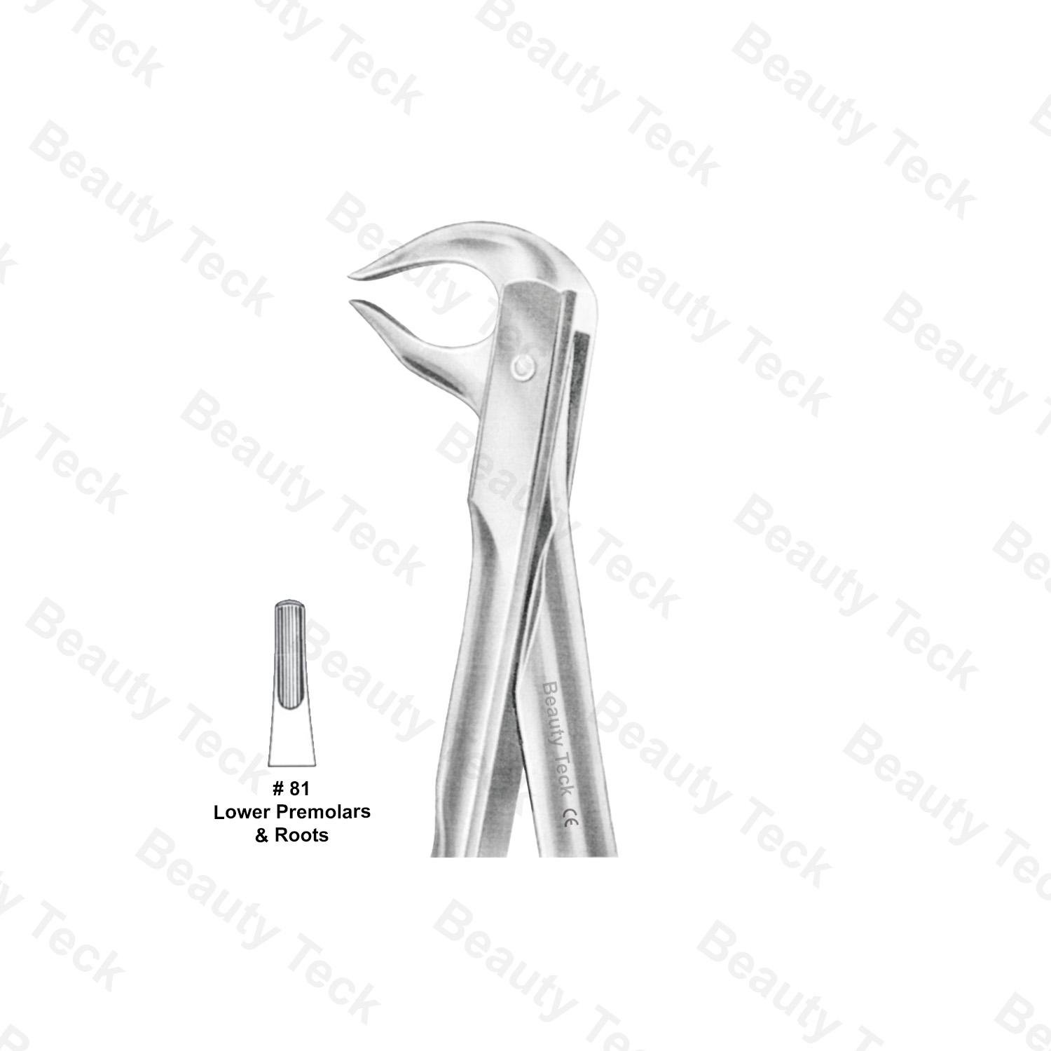 EXTRACTING FORCEPS ANATOMICAL HANDLE  #81 (LOWER PREMOLARS & ROOTS)