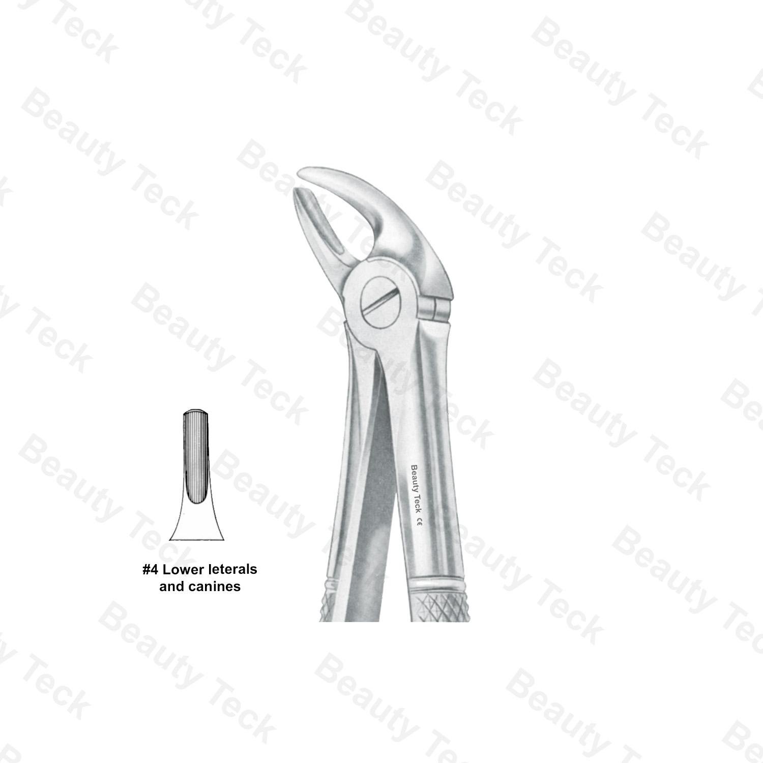 Extracting Forceps #4 English Pattern (Lower Laterals and Canines)