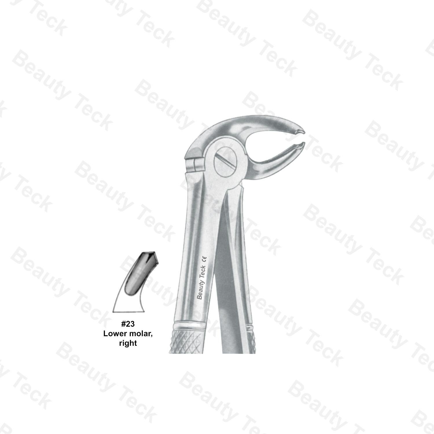 Extracting Forceps #23 English Pattern (Lower Molars, Right)