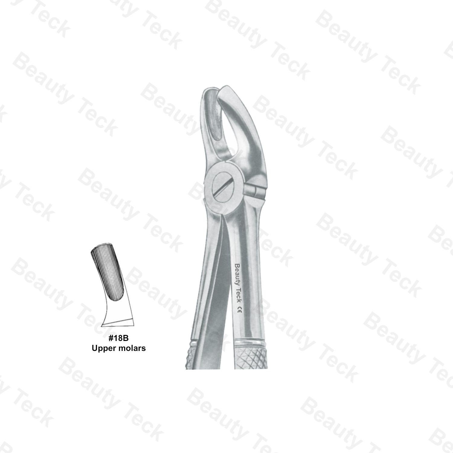 Extracting Forceps #18B English Pattern (Upper Molars)