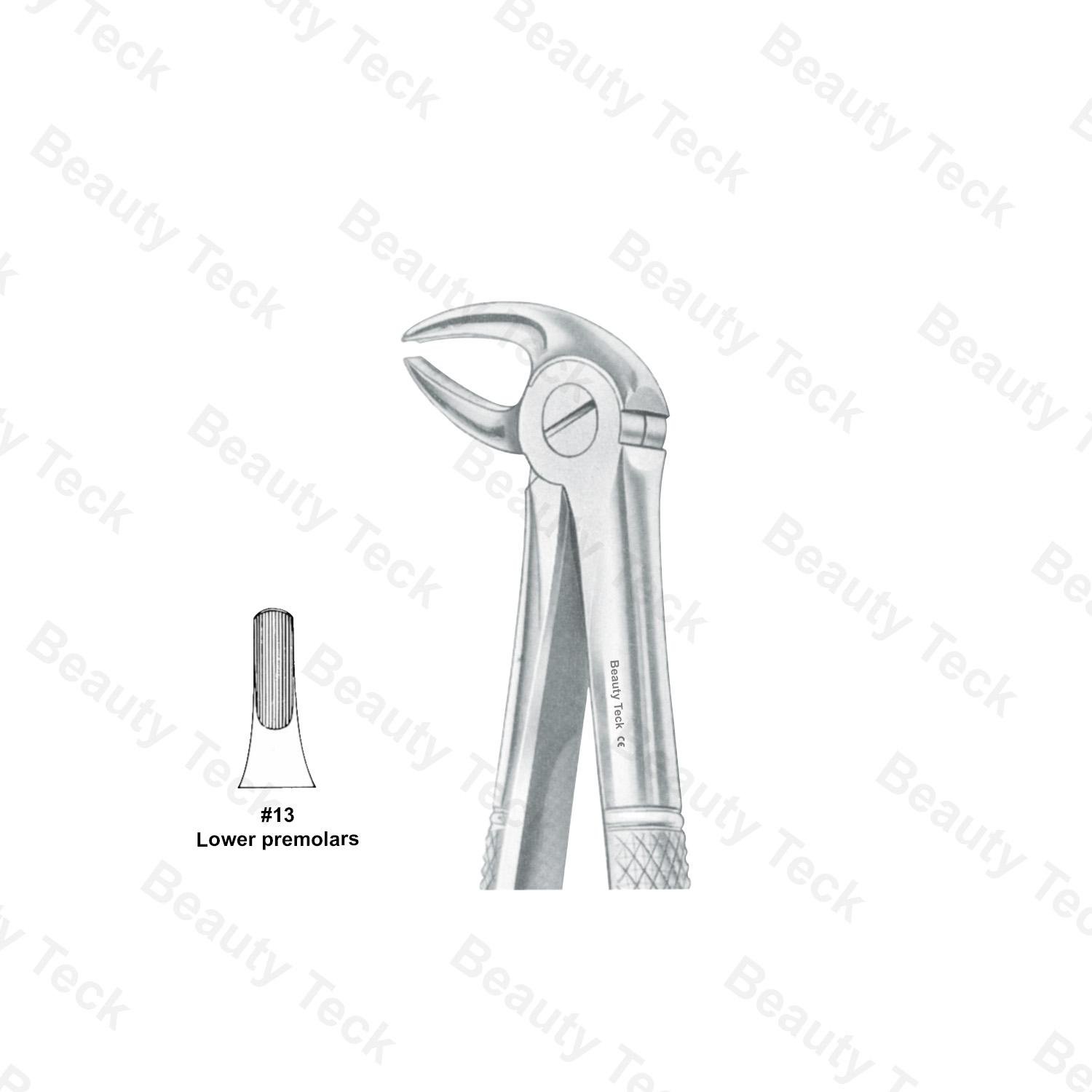 Extracting Forceps #13 English Pattern (Upper Premolars)