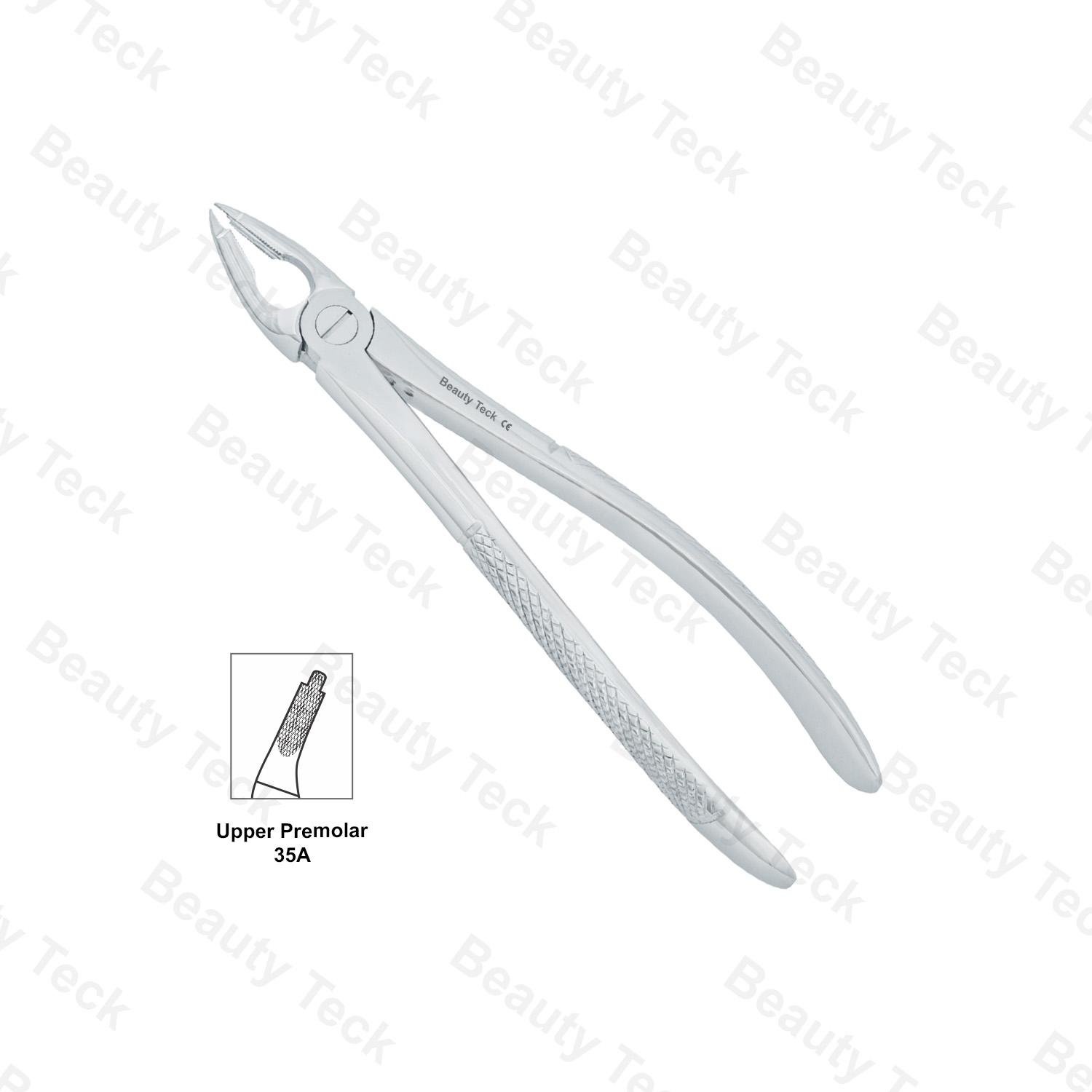 EXTRACTING FORCEPS  ENGLISH PATTERN (UPPER PREMORALS FIG. 35A)