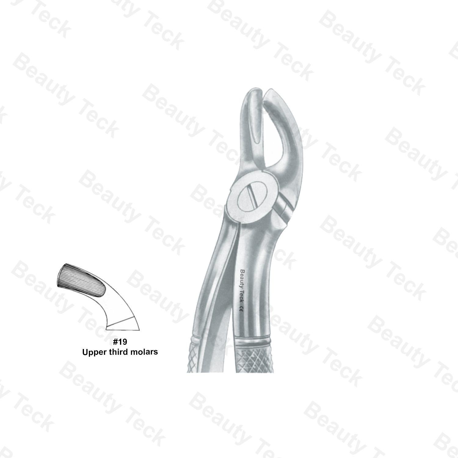 Extracting Forceps #19 English Pattern (Upper Third Molars)