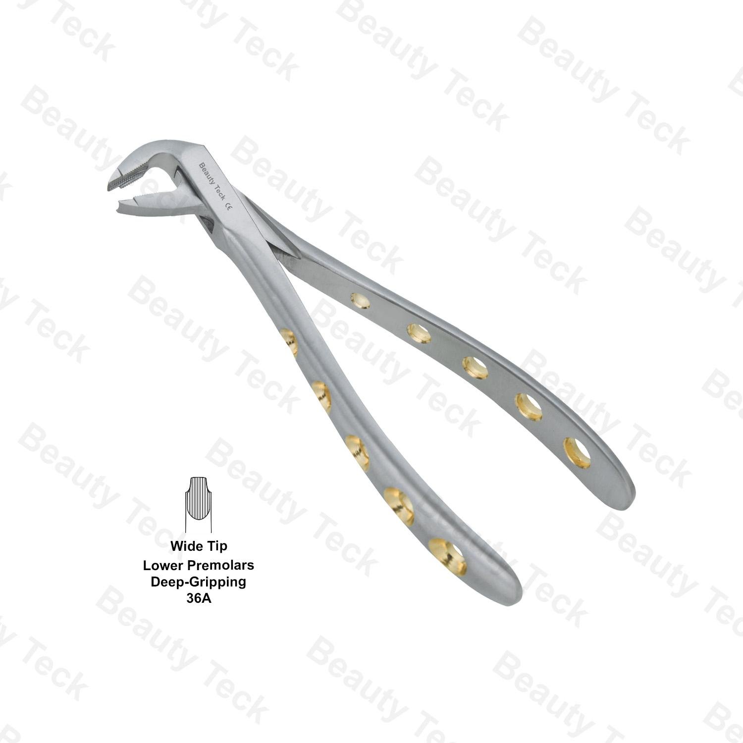 EXTRACTING FORCEPS  ENGLISH PATTERN HOLE HANDLER (LOWER PREMOLARS DEEP GRIPING FIG. 36A )