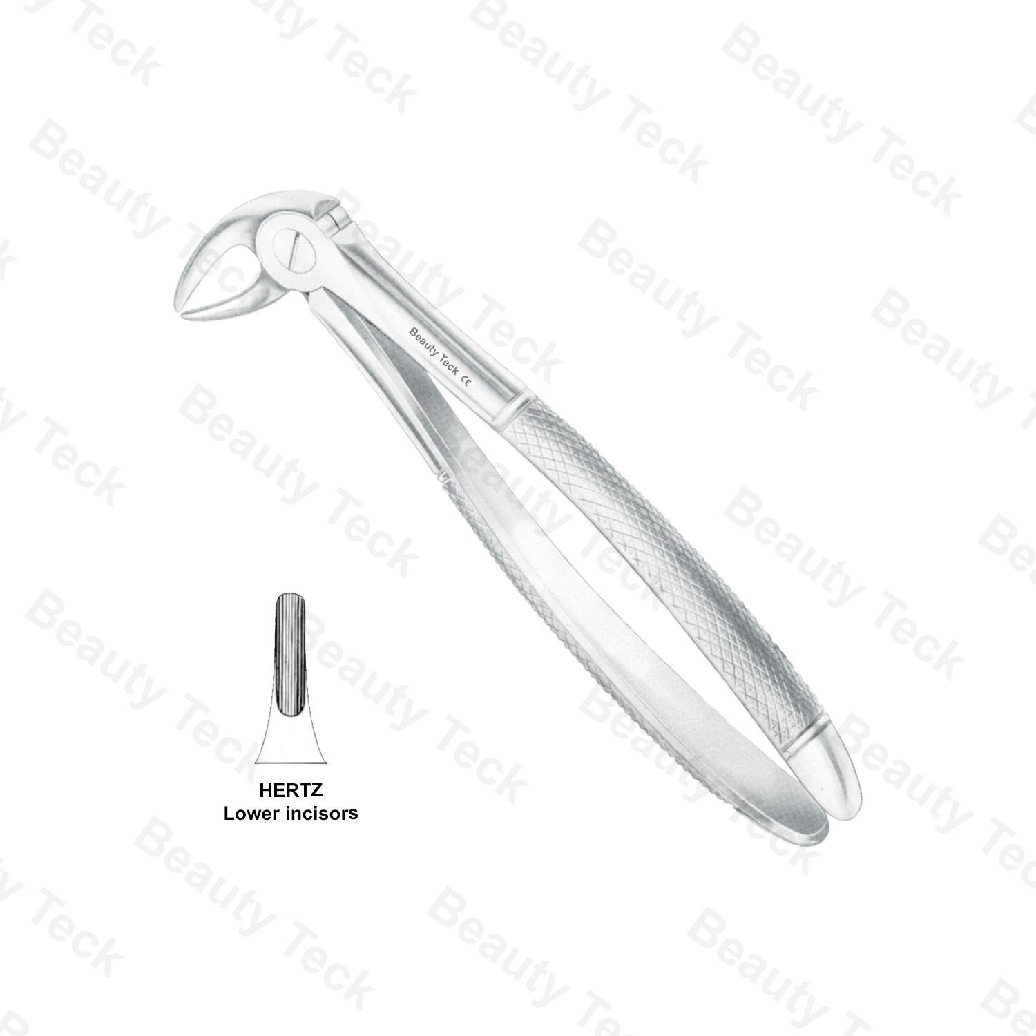 EXTRACTING FORCEPS  #HERTZ ENGLISH PATTERN (LOWER INCISORS)