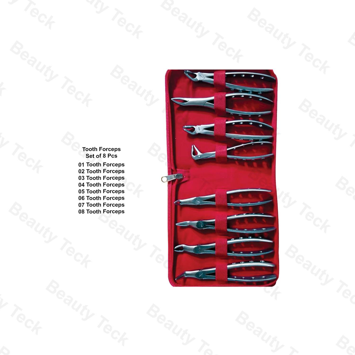 EXTRACTING FORCEPS TOOTH FORCEPS (SET OF 10 PIECES.)