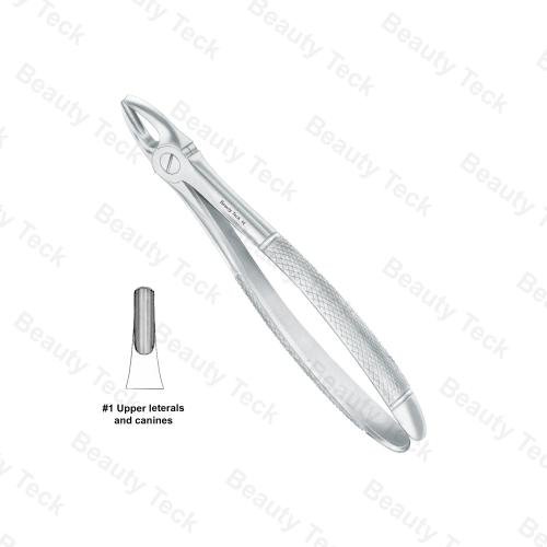 Extracting Forceps #1 English Pattern (Upper Laterals and Canines)