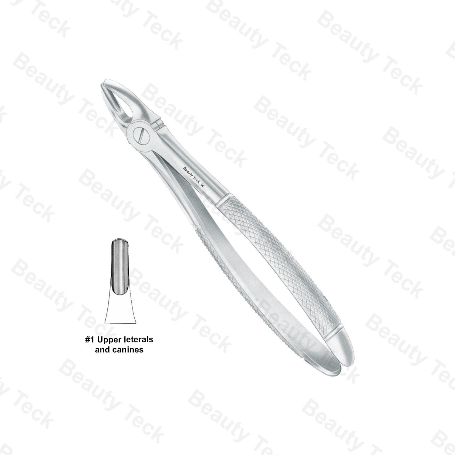 Extracting Forceps #1 English Pattern (Upper Laterals and Canines)
