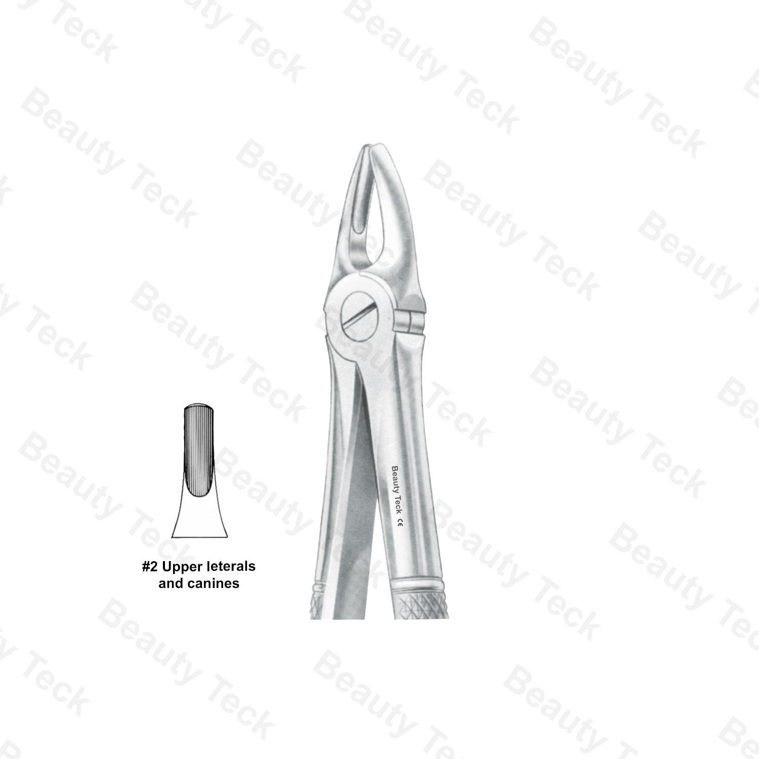 Extracting Forceps #2 English Pattern (Upper Laterals and Canines)