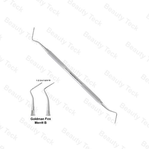 GOLDMAN FOX MERRIT B PROBES DE