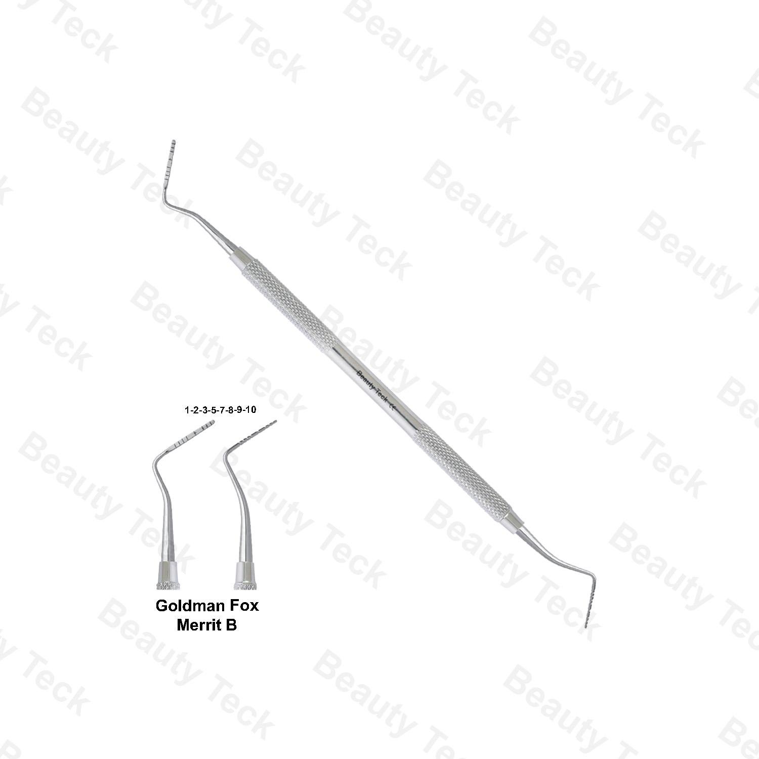 GOLDMAN FOX MERRIT B PROBES DE