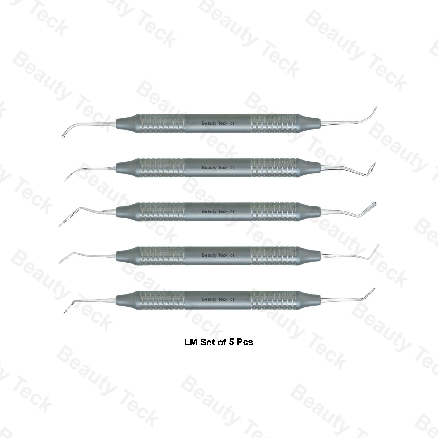 LM FILLING INSTRUMENT SET OF 5 PCS