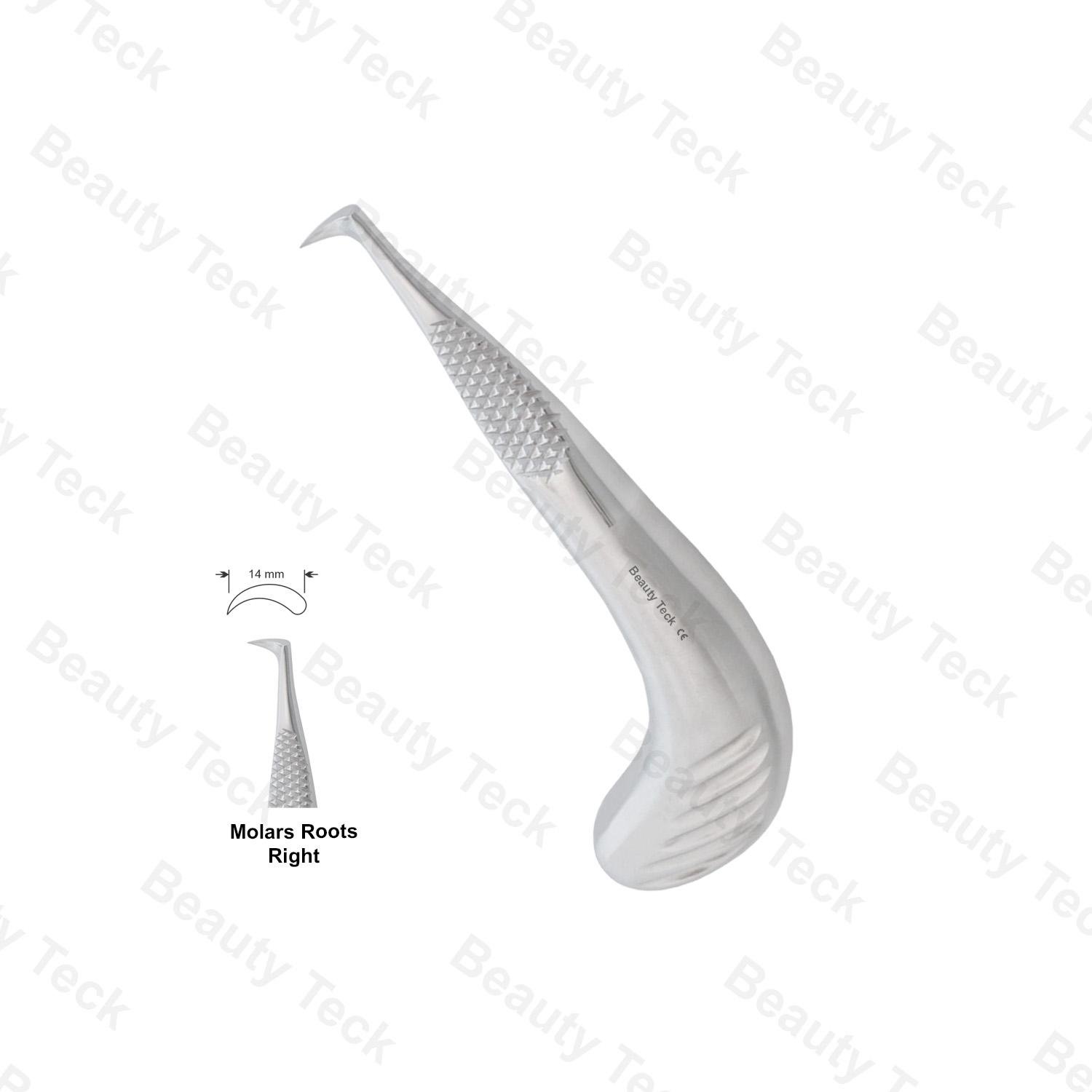 MOLARS ROOTS ELEVATOR RIGHT