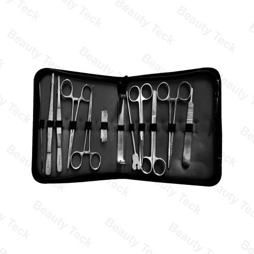 Premium 12-Piece Stainless Steel Medical Healing Kit