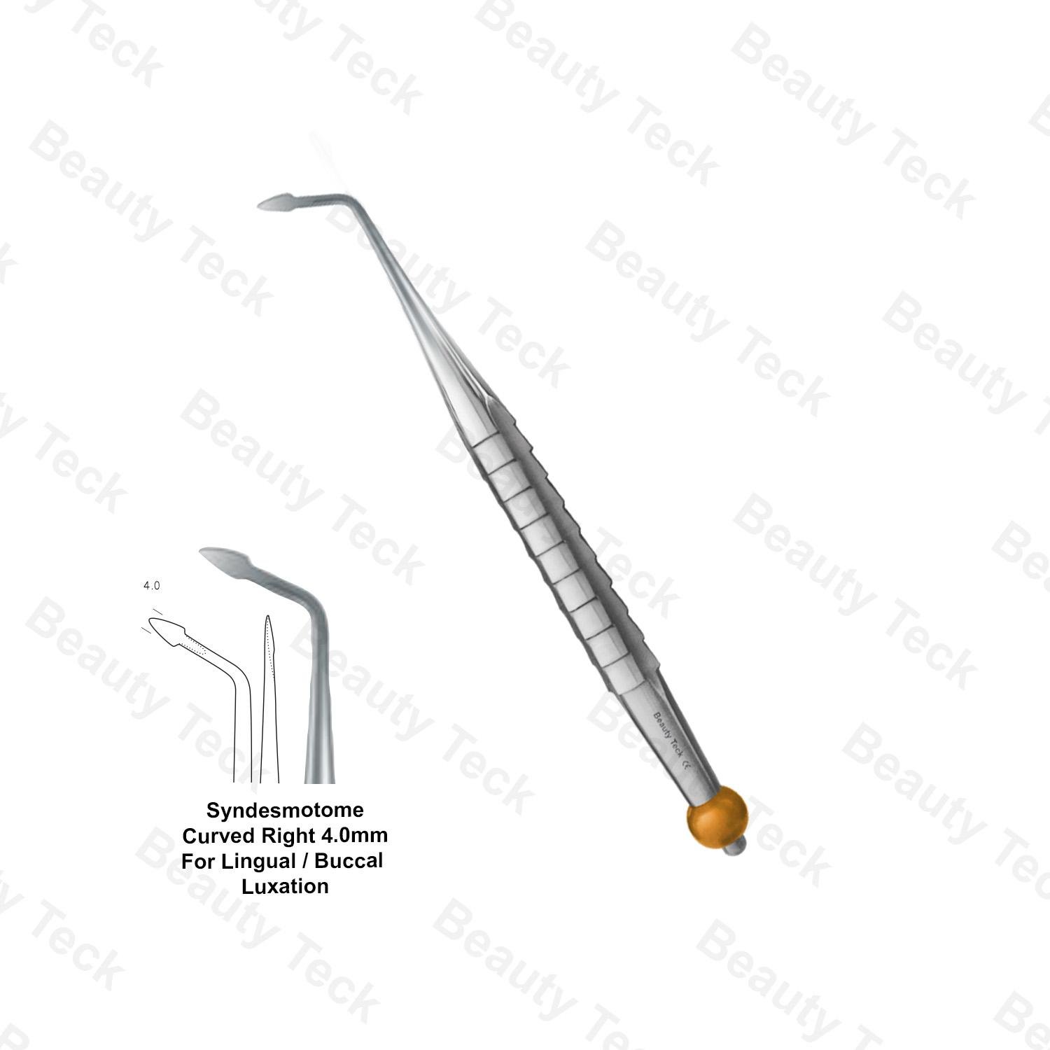Root Elevator Syndesmotome Curved Right 4.0mm for Lingual/Buccal Luxation