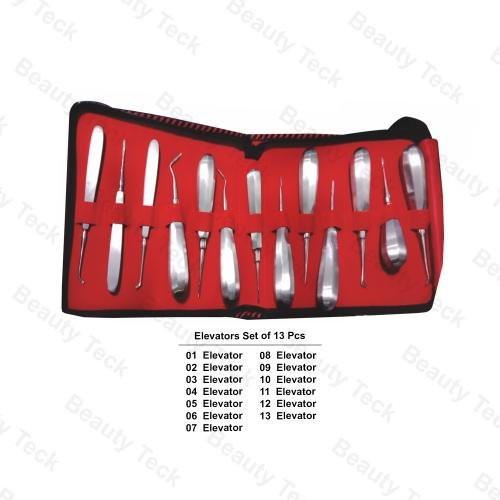 Root Elevators (Set of 13 Pcs) Master Pouch Pack
