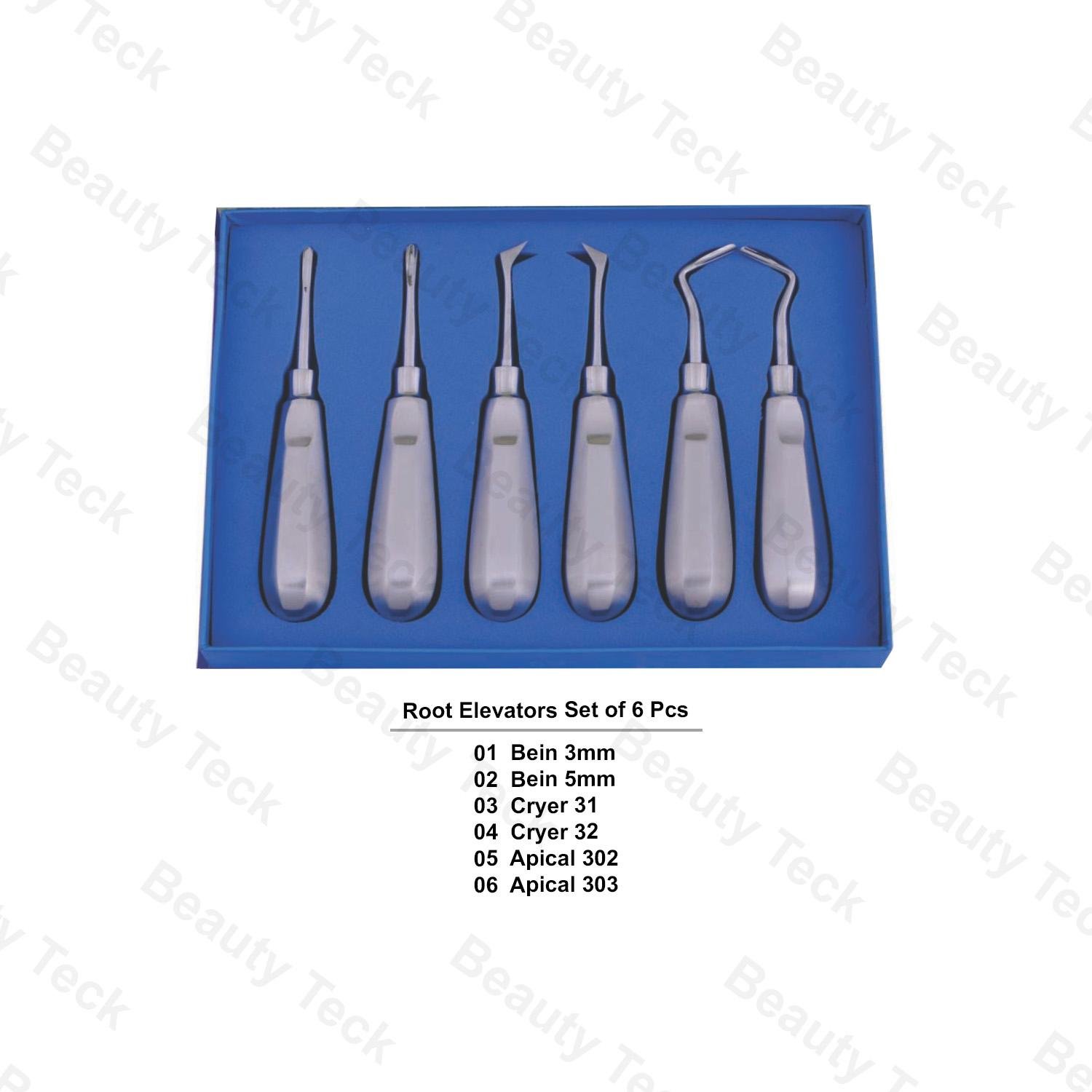 Root Elevators Set of 6 Pcs (Bein, Cryer, and Apical)