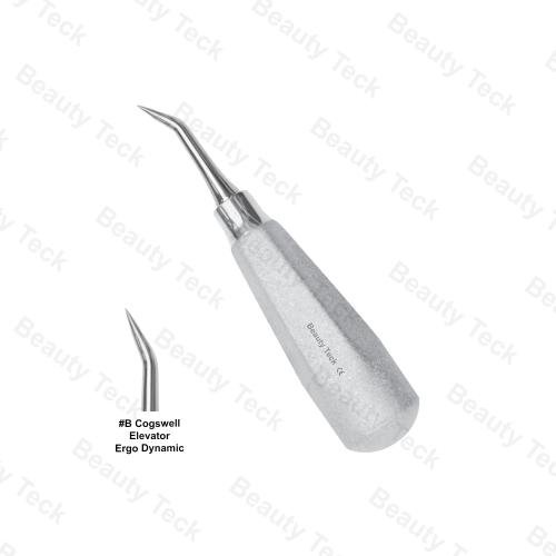 ROOTS ELEVATORS B COGSWELL ELEVATOR ERGO DYNAMIC